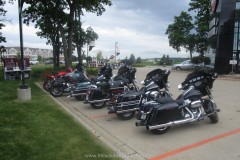 IMG_1397_reduced